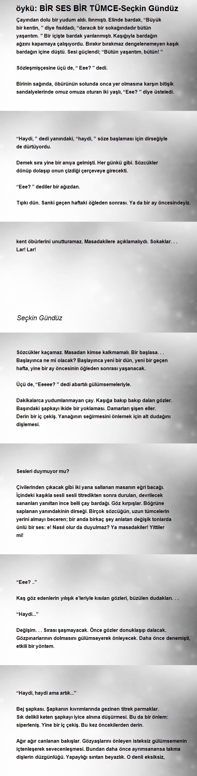 Seçkin Gündüz