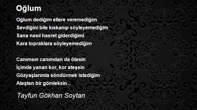 Tayfun Gökhan Soytan