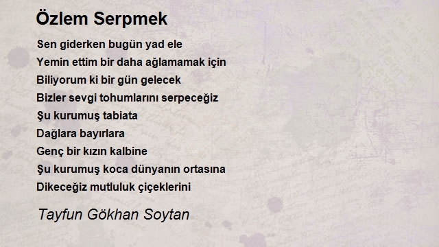 Tayfun Gökhan Soytan