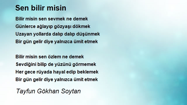 Tayfun Gökhan Soytan