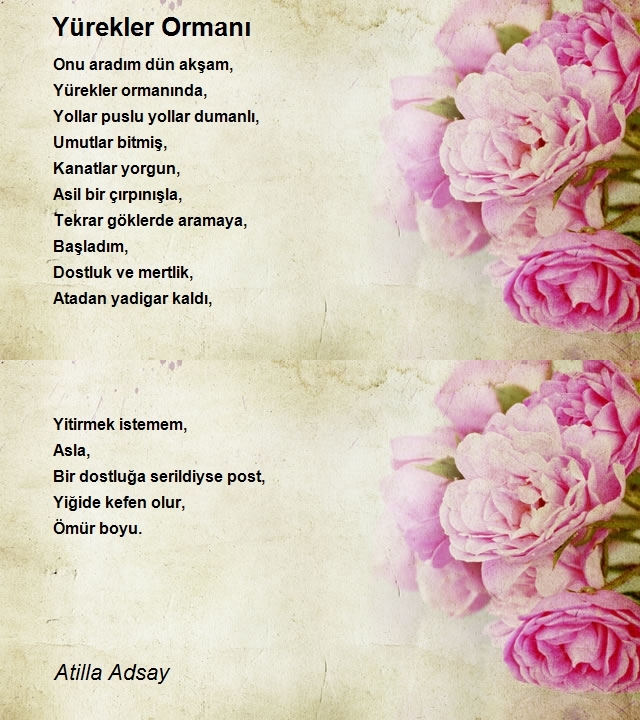 Atilla Adsay