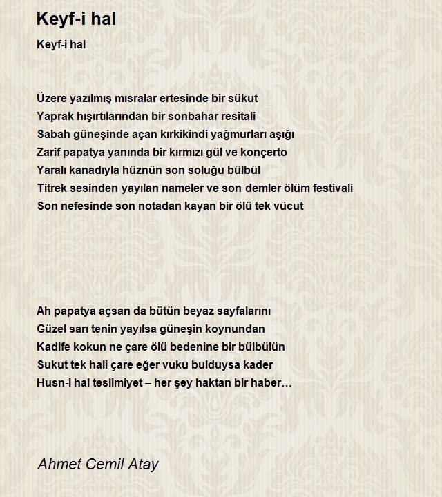 Ahmet Cemil Atay