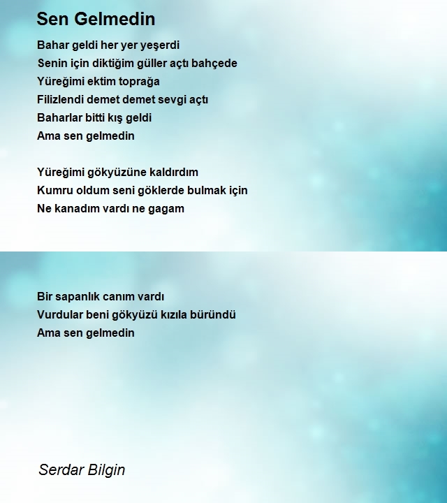 Serdar Bilgin