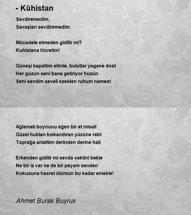 Ahmet Burak Buyruk