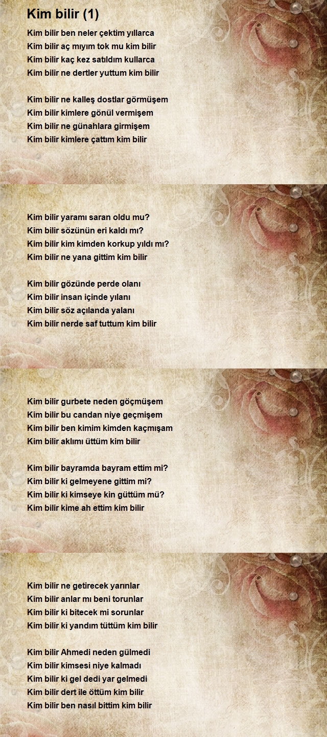 Ahmet Ergin