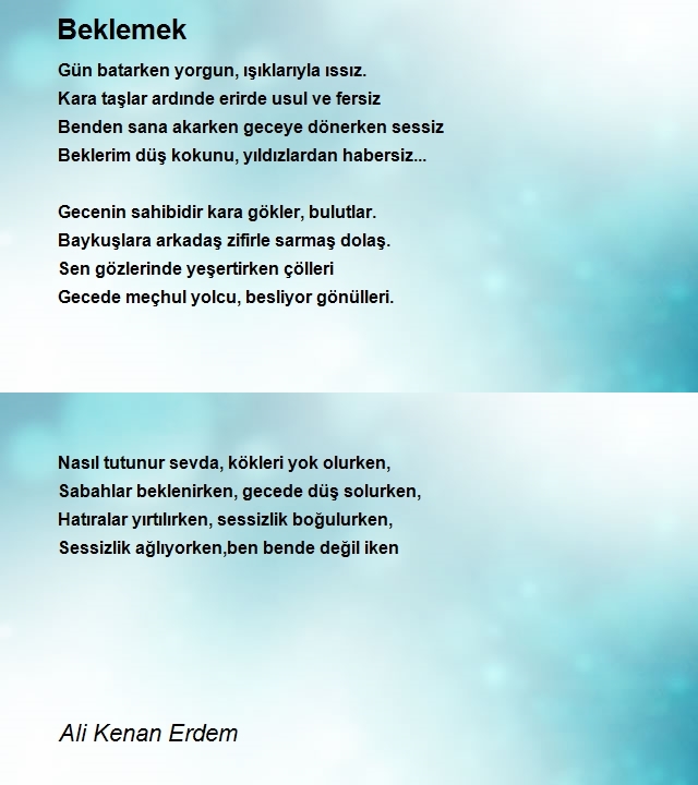 Ali Kenan Erdem