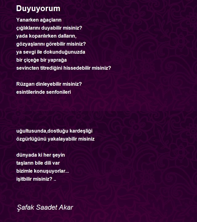 Şafak Saadet Akar