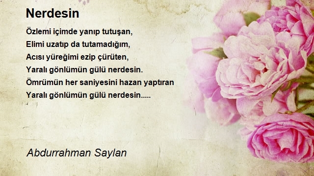 Abdurrahman Saylan