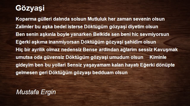 Mustafa Ergin