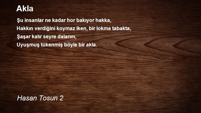 Hasan Tosun 2