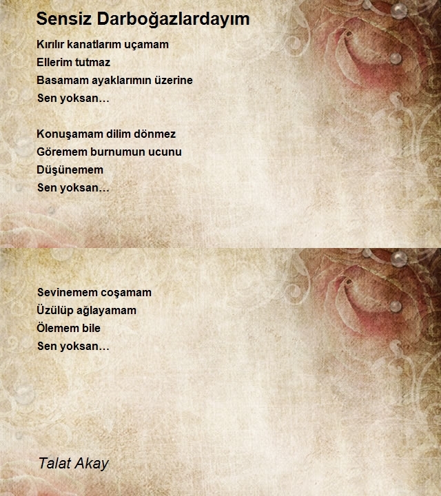 Talat Akay