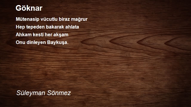 Süleyman Sönmez