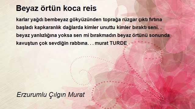 Erzurumlu Çılgın Murat