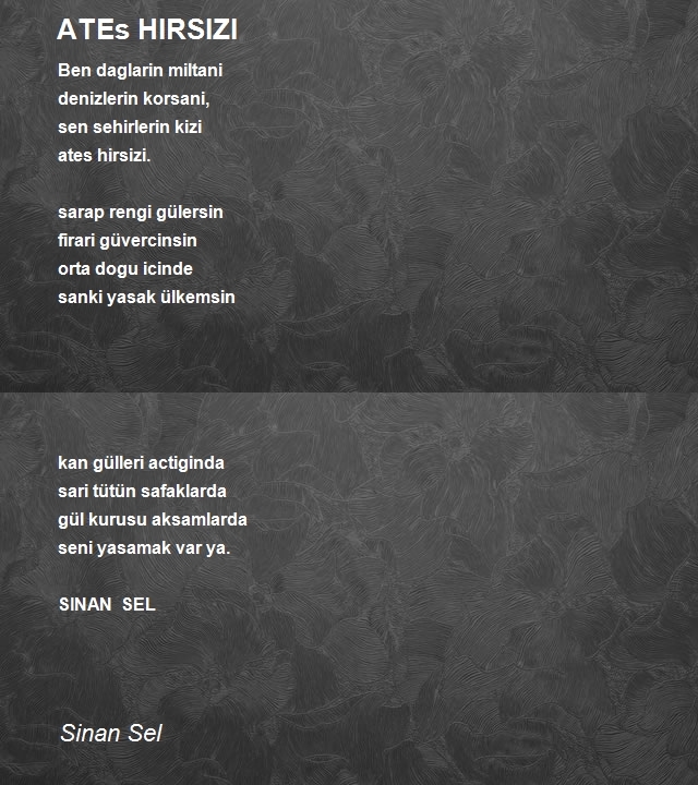 Sinan Sel