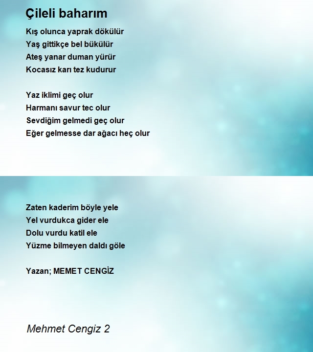 Mehmet Cengiz 2