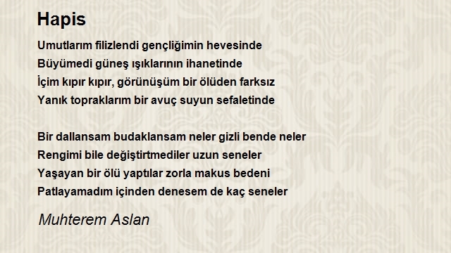 Muhterem Aslan