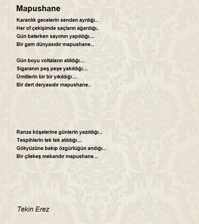 Tekin Erez