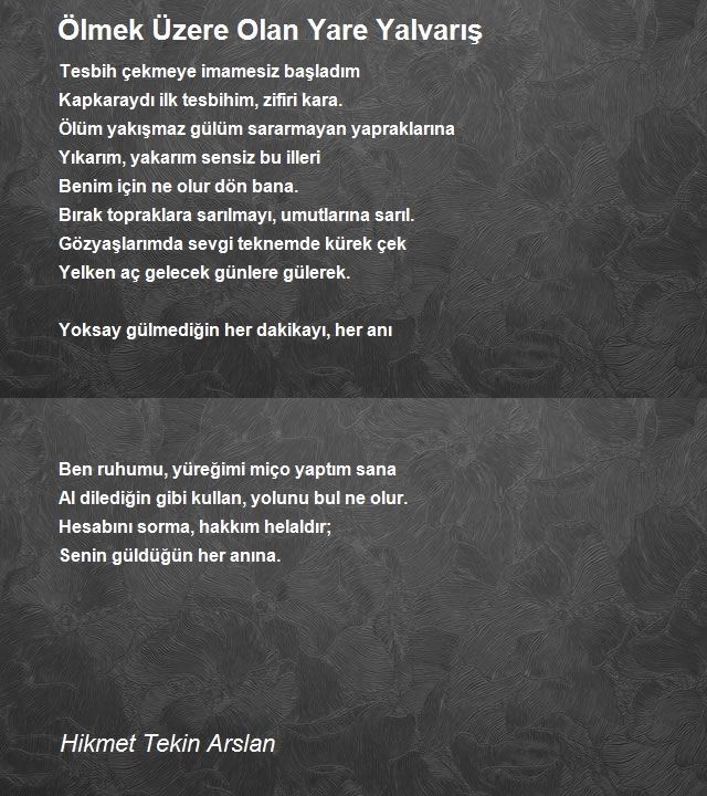 Hikmet Tekin Arslan