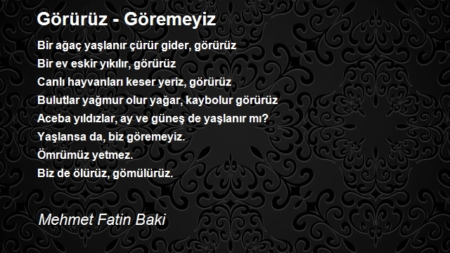 Mehmet Fatin Baki