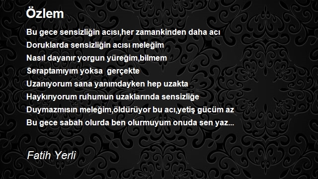 Fatih Yerli