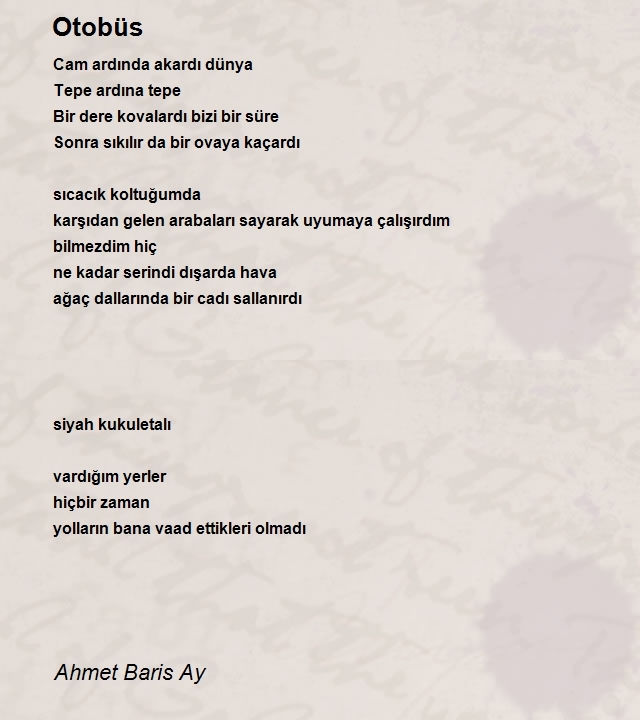 Ahmet Baris Ay