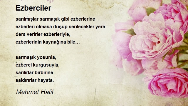 Mehmet Halil