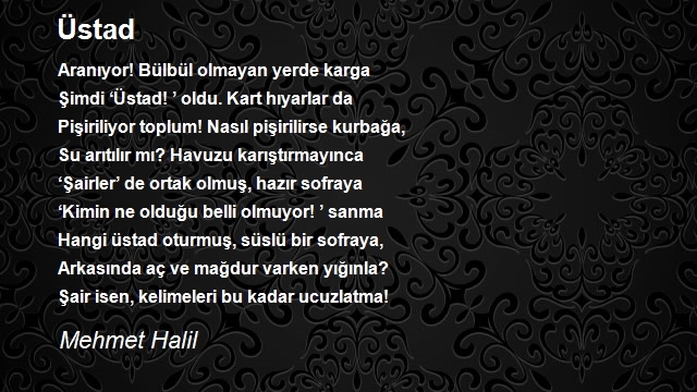 Mehmet Halil