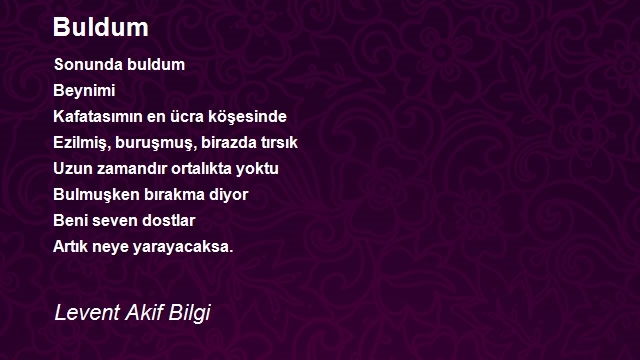 Levent Akif Bilgi