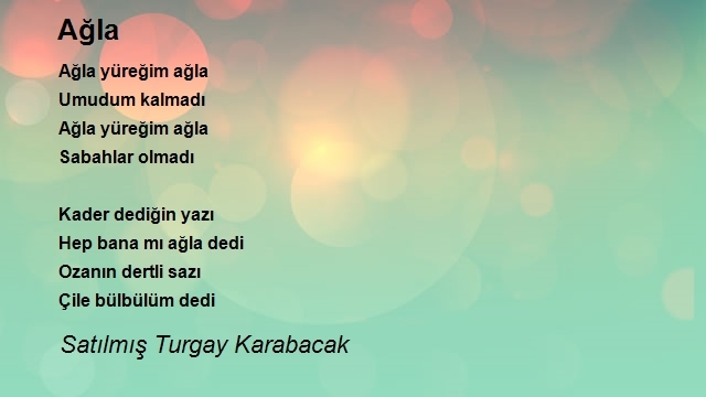 Satılmış Turgay Karabacak