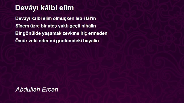 Abdullah Ercan