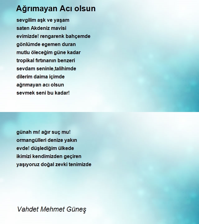 Vahdet Mehmet Güneş