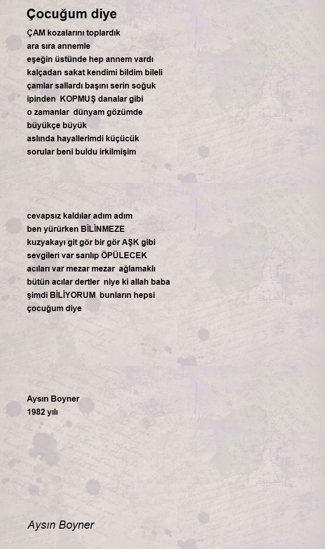 Aysın Boyner