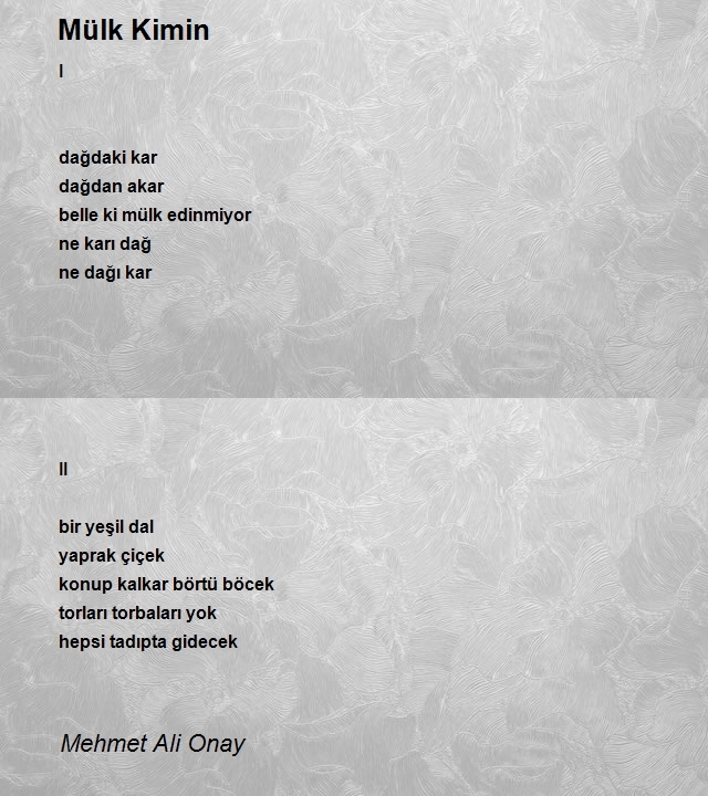 Mehmet Ali Onay