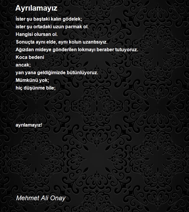 Mehmet Ali Onay