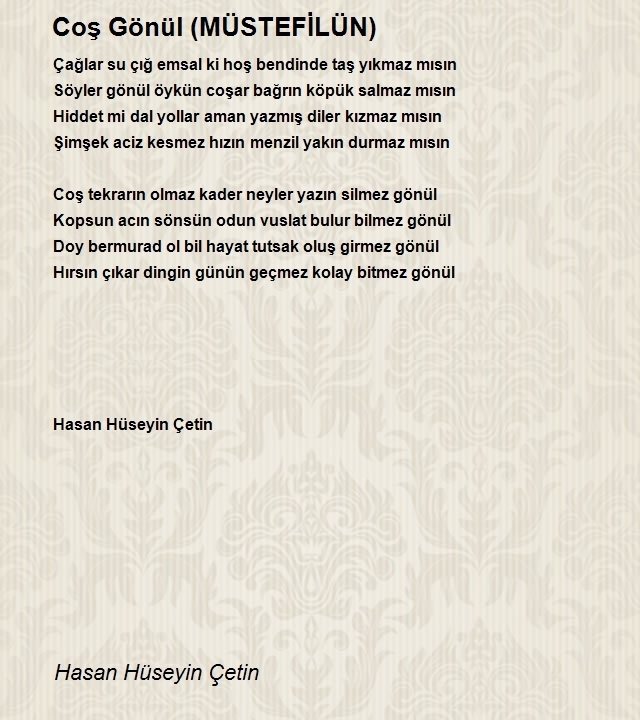 Hasan Hüseyin Çetin