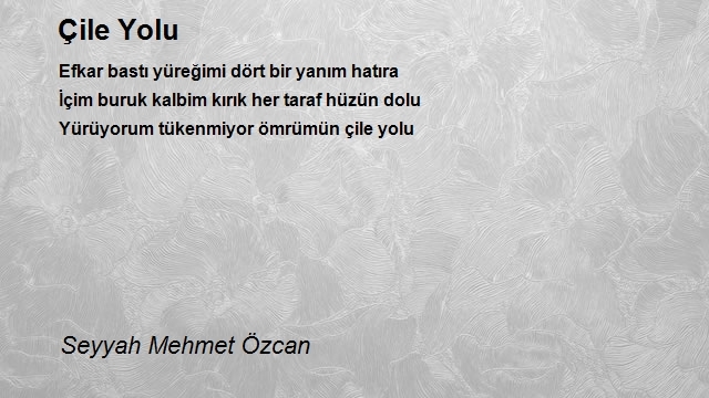 Seyyah Mehmet Özcan