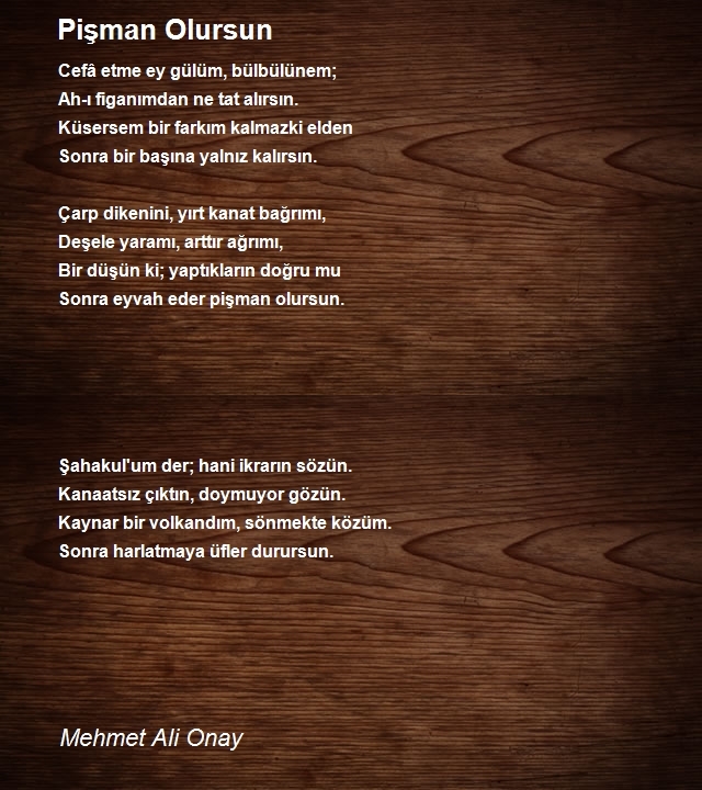 Mehmet Ali Onay