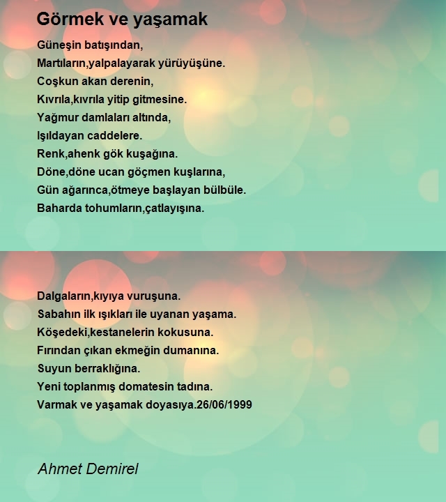 Ahmet Demirel