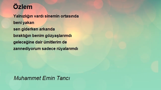 Muhammet Emin Tancı