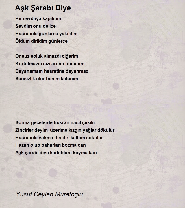 Yusuf Ceylan Muratoglu