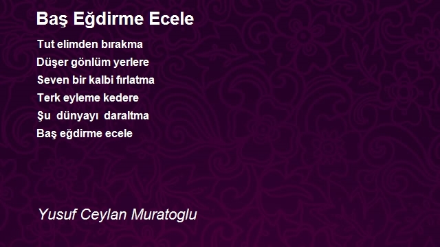 Yusuf Ceylan Muratoglu