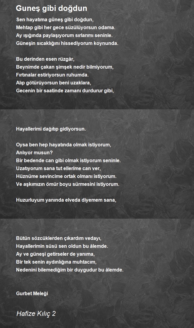 Hafize Kılıç 2