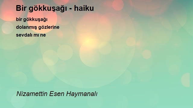 Nizamettin Esen Haymanalı