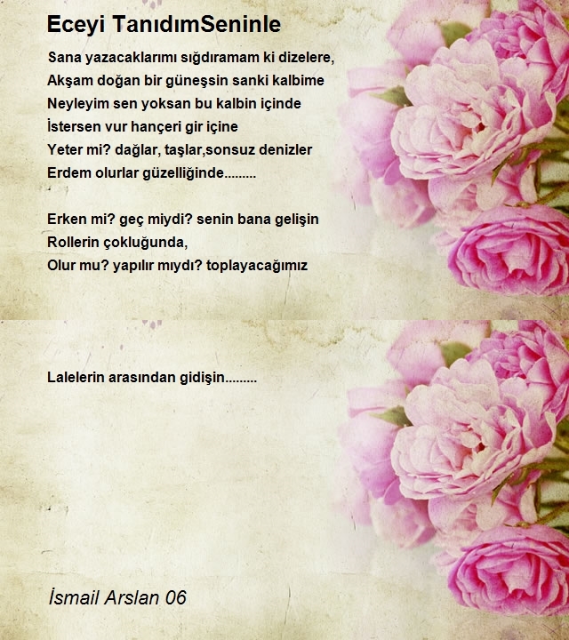 İsmail Arslan 06