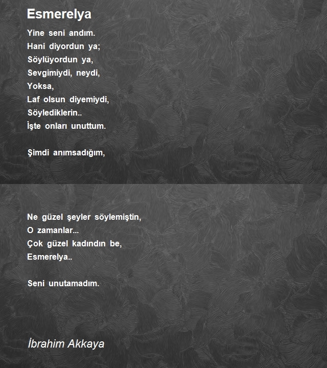 İbrahim Akkaya