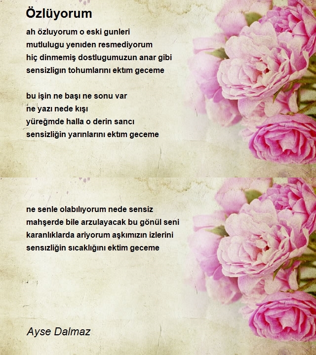 Ayse Dalmaz