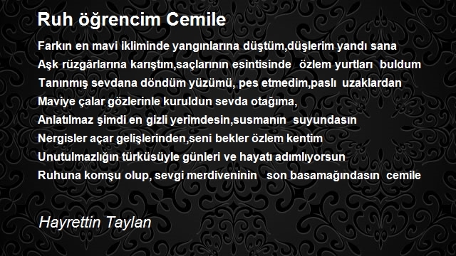 Hayrettin Taylan