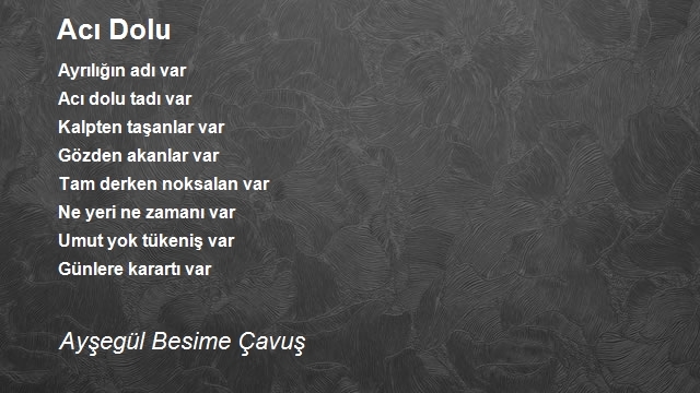 Ayşegül Besime Çavuş