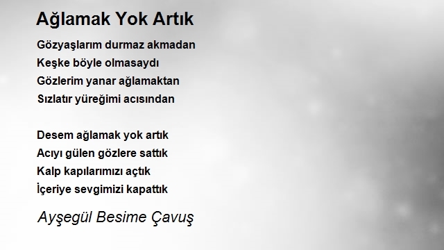 Ayşegül Besime Çavuş