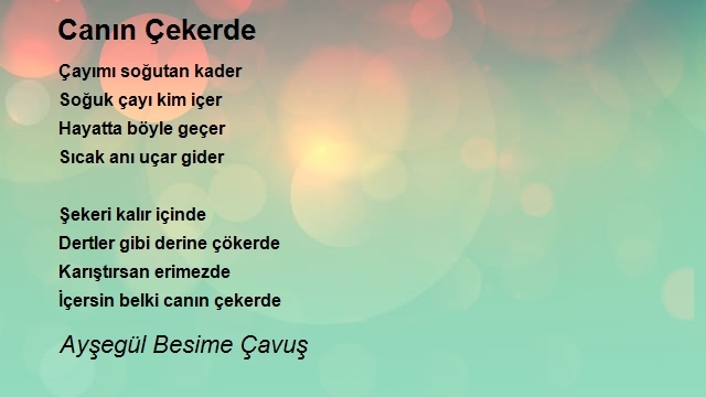 Ayşegül Besime Çavuş